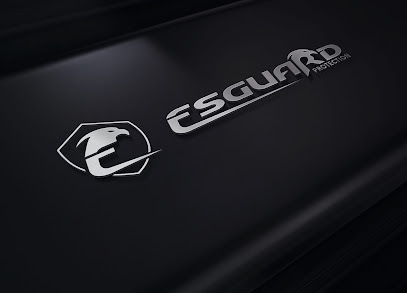 Esguard Protection, Agence De Sécurité à Brie-Comte-Robert