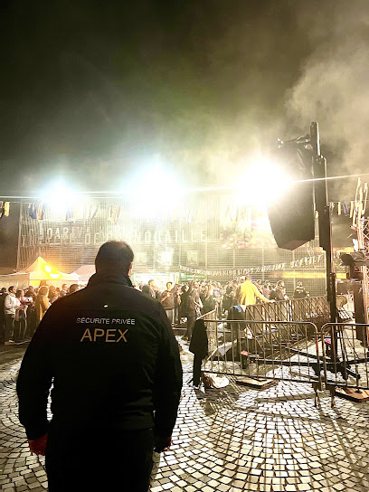Apex Sécurité, Agence De Sécurité à Pluguffan